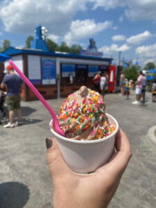 LEGOLAND New York Ice Cream