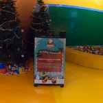 LEGOLAND New York Christmas Bricktacular (10)