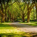 park_entrance