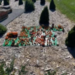 Brick-or-Treat 2026 smallest-pumpkin-patch